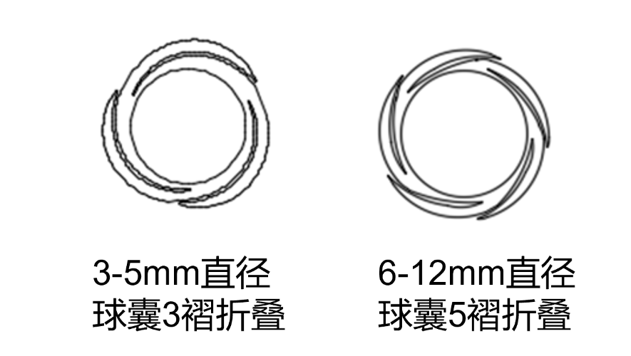 周游? Voyaging?球囊擴(kuò)張導(dǎo)管(圖2) 周游? Voyaging?球囊擴(kuò)張導(dǎo)管(圖2)